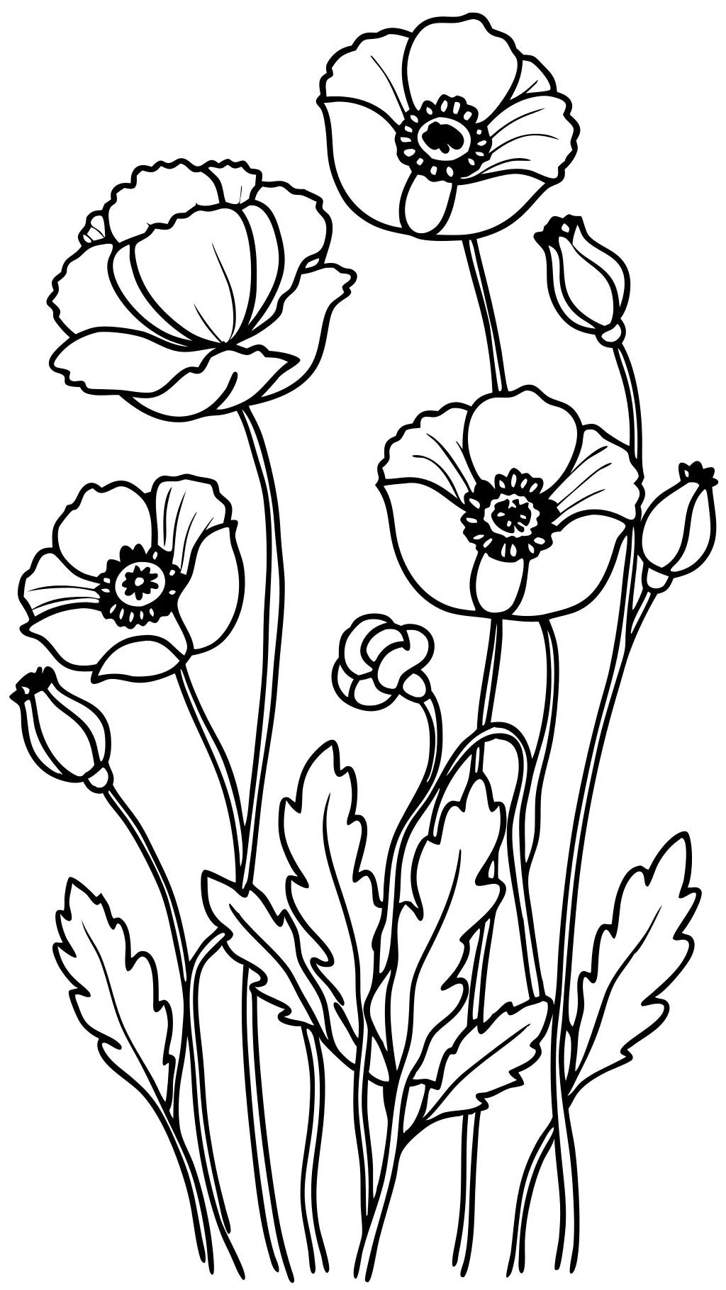 coloriage de fleurs de pavot